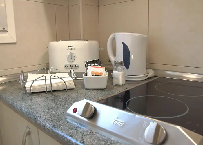 Apartahotel Aralso 4*